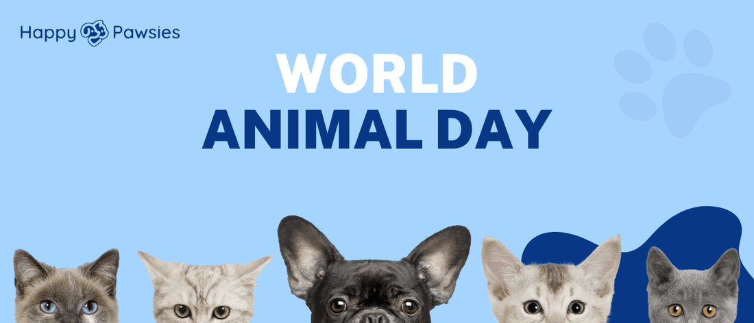 Celebrate World Animal Day: Show Care for All Animals