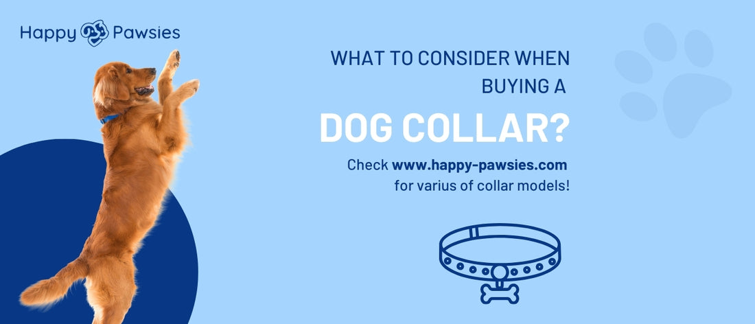 What to Consider When Buying a Dog Collar: A Complete Guide