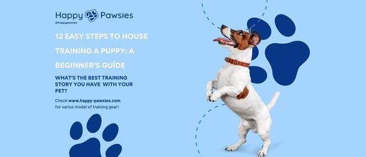 12 Easy Steps to House Training a Puppy