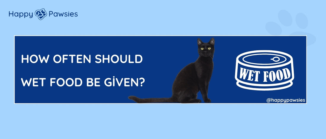 How Often Should Wet Food Be Given?