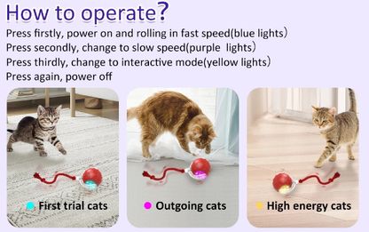 Motion Sensor Cat Rolling Ball – Interactive Teaser Toy V1