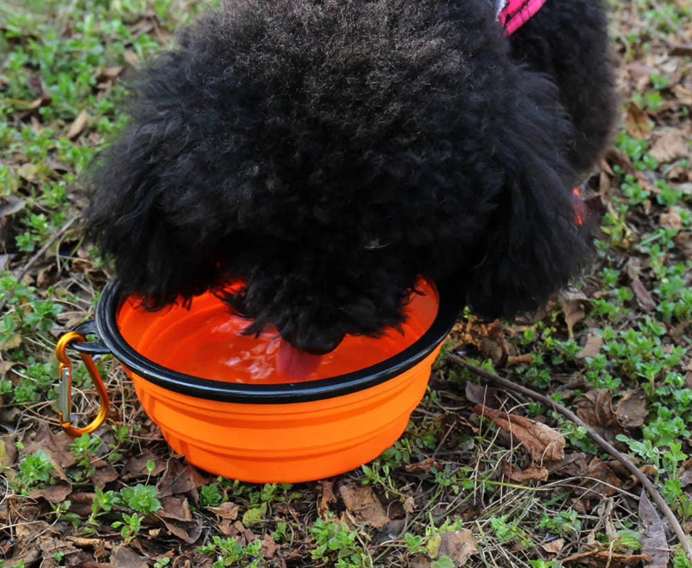 Collapsible Pet Bowl – Portable Silicone Dish with Carabiner