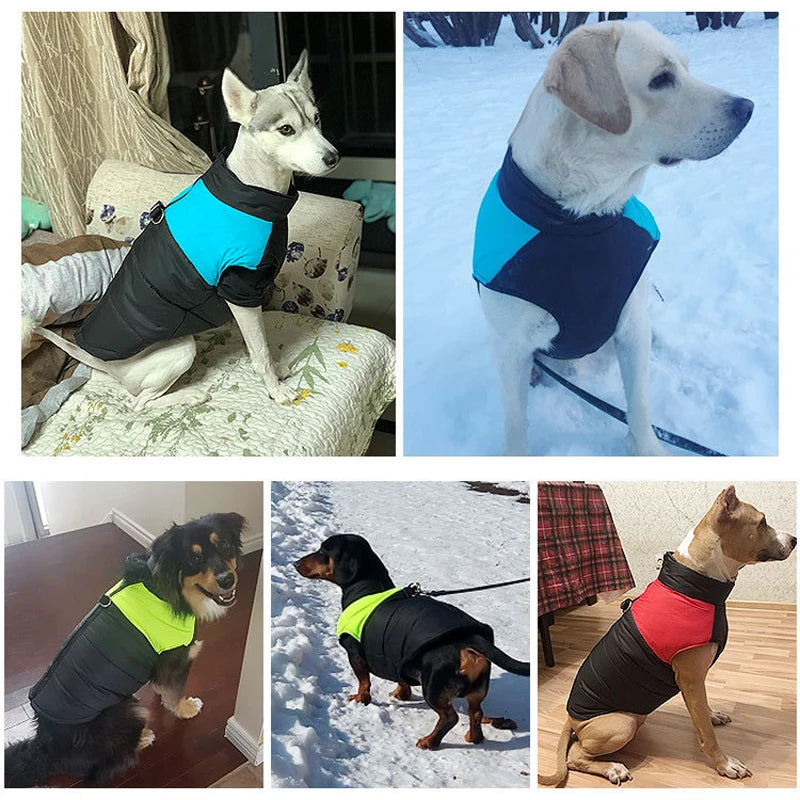 Waterproof Winter Dog Coat – Vest for Small to Large Dogs