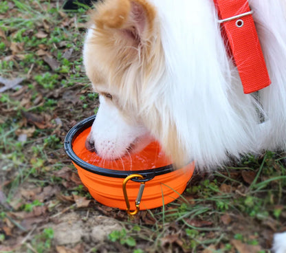 Collapsible Pet Bowl – Portable Silicone Dish with Carabiner