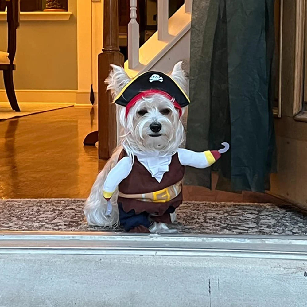 Halloween Pirate Costume – Cosplay for Small & Medium Pets