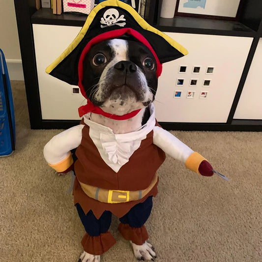 Halloween Pirate Costume – Cosplay for Small & Medium Pets