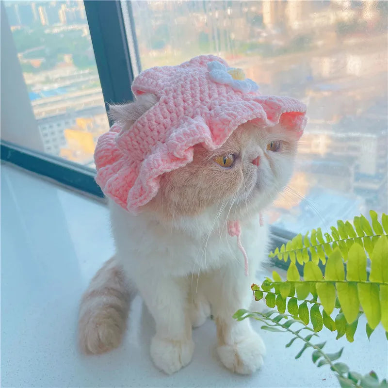 Elastic Knitted Cat Hat – Cute Pet Hat for Cats & Kittens