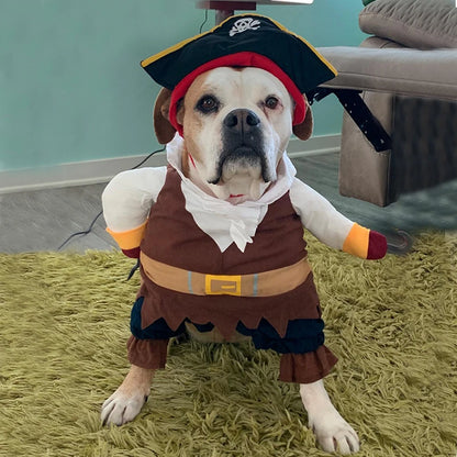 Halloween Pirate Costume – Cosplay for Small & Medium Pets