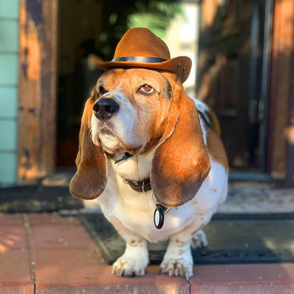 Adjustable Cowboy Hat for Cats and Dogs