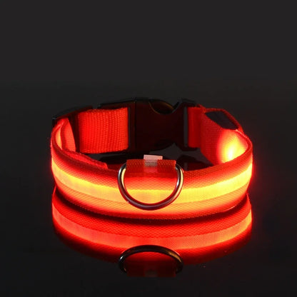 LED Collar for Pets – Enhanced Night Safety