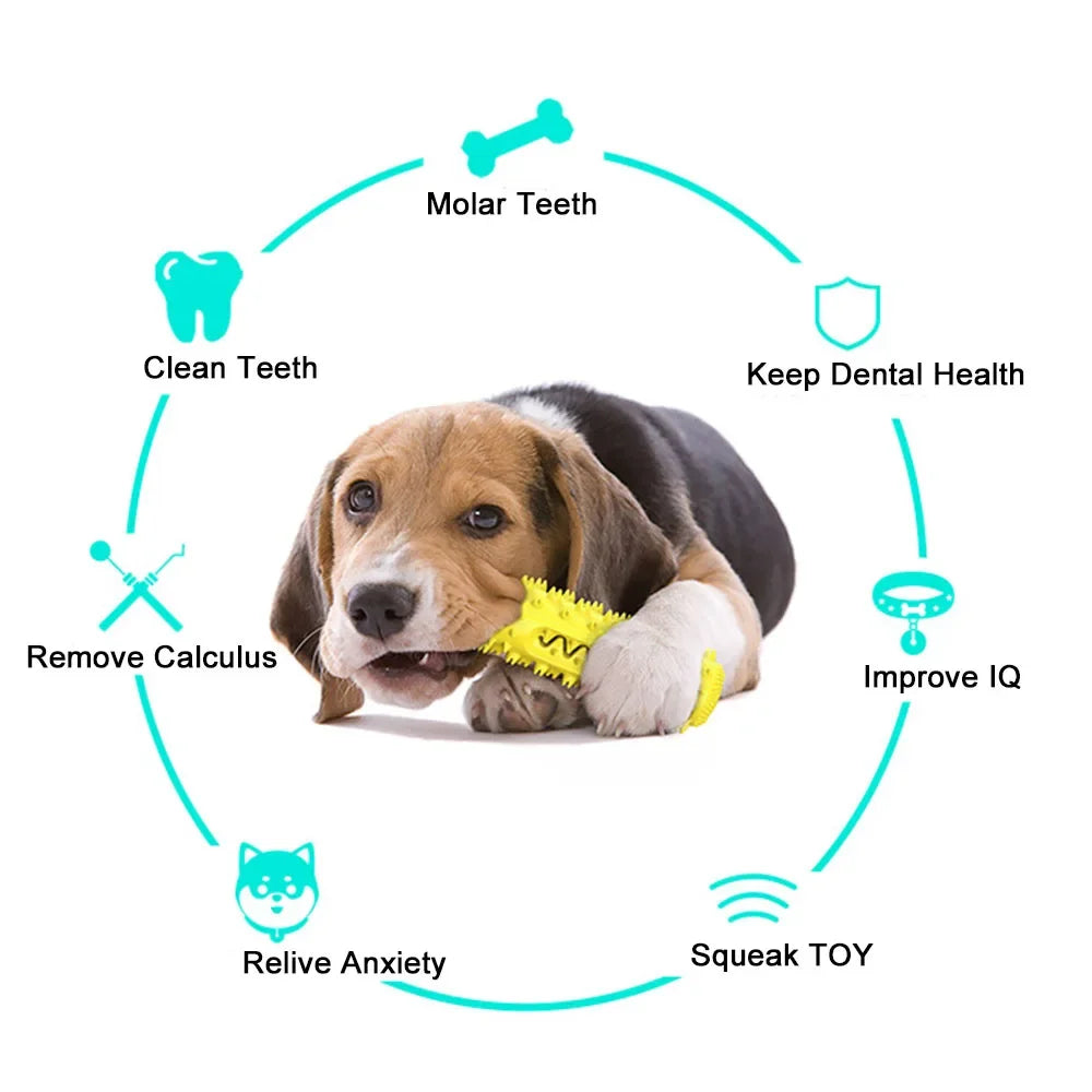 Durable Dog Molar Toothbrush – Soft Chew Toy for Dental Care