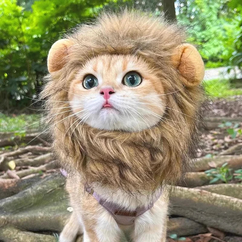 Lion Mane Cat Costume – Pet Hat for Halloween