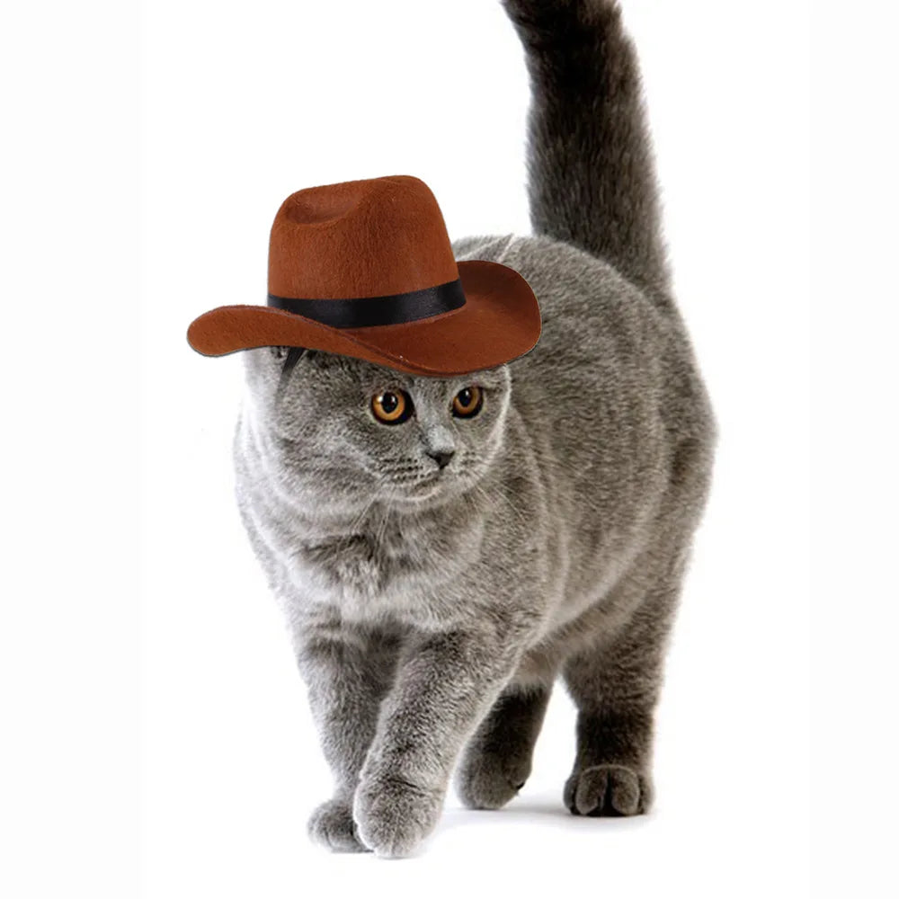 Adjustable Cowboy Hat for Cats and Dogs