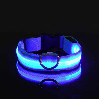 LED Collar for Pets – Enhanced Night Safety