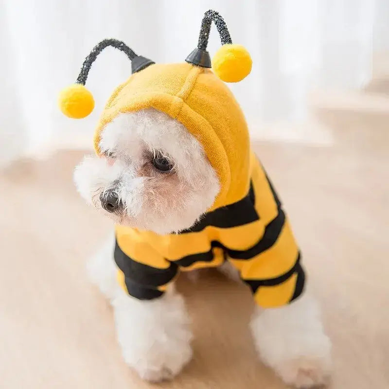 Halloween Bee Costume – Hoodie for Small Dogs & Cats