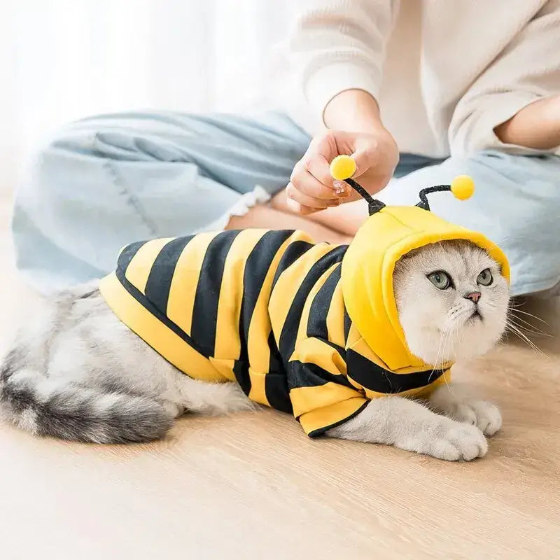 Halloween Bee Costume – Hoodie for Small Dogs & Cats