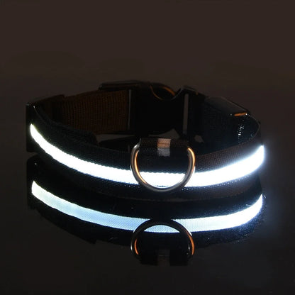 LED Collar for Pets – Enhanced Night Safety