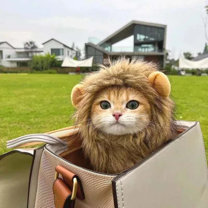 Lion Mane Cat Costume – Pet Hat for Halloween