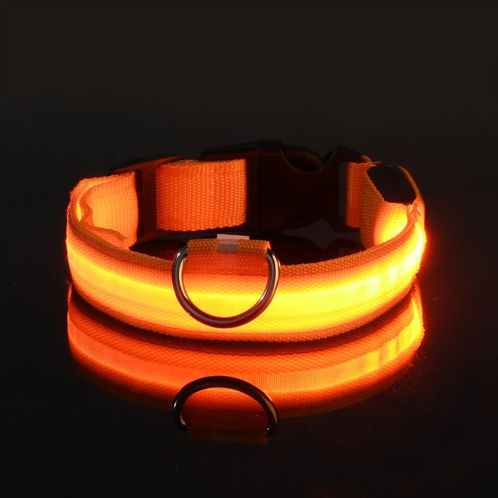 LED Collar for Pets – Enhanced Night Safety