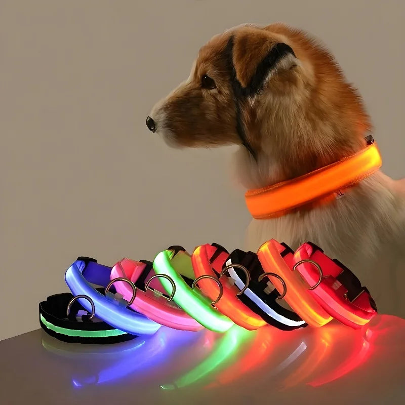 LED Collar for Pets – Enhanced Night Safety