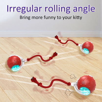 Motion Sensor Cat Rolling Ball – Interactive Teaser Toy V1