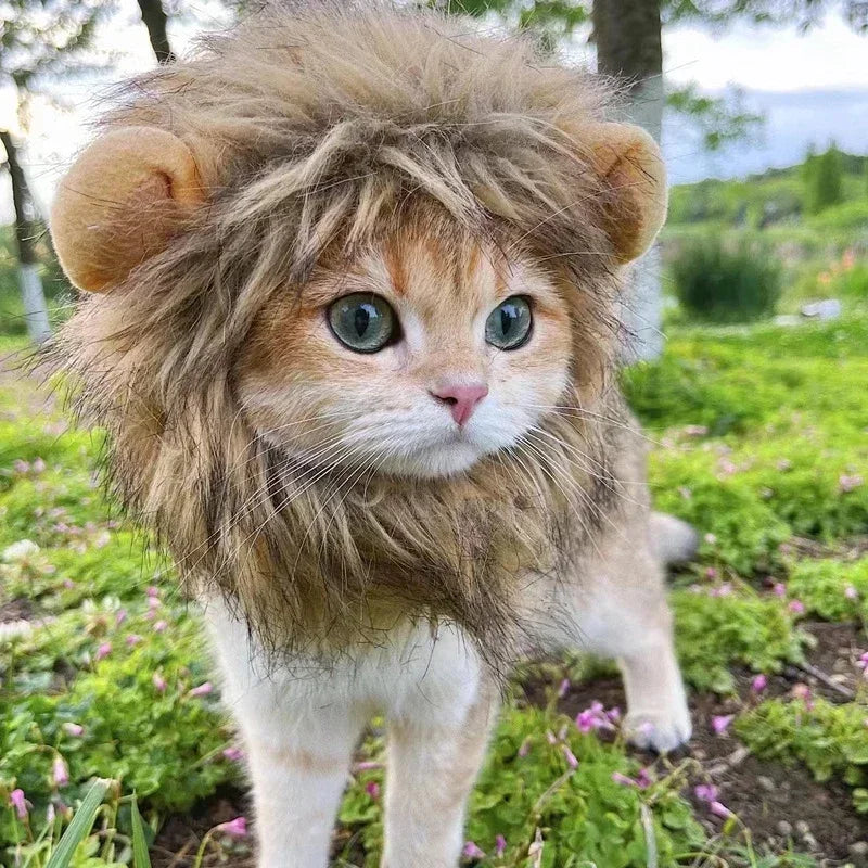 Lion Mane Cat Costume – Pet Hat for Halloween