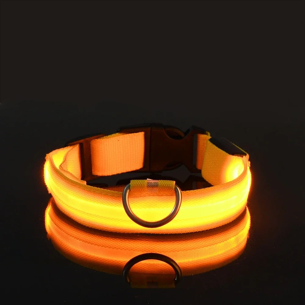 LED Collar for Pets – Enhanced Night Safety