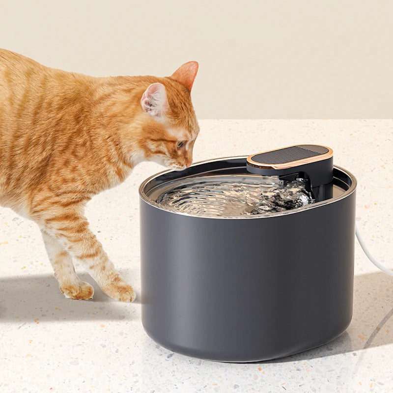 3L Automatic Pet Water Fountain – USB-Operated, Quiet Feeder