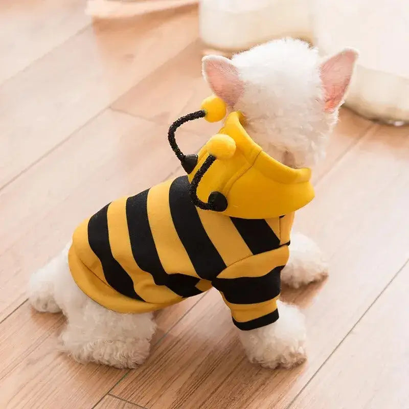 Halloween Bee Costume – Hoodie for Small Dogs & Cats